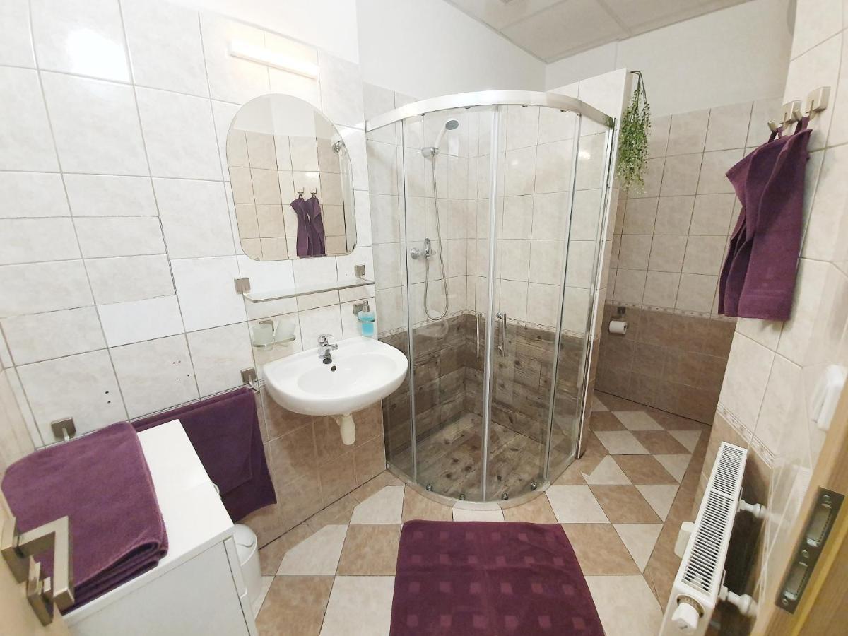 466 Apartment Rokytnice nad Jizerou